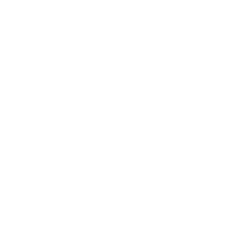 Mad Vision Group